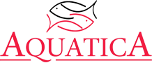 aquatica